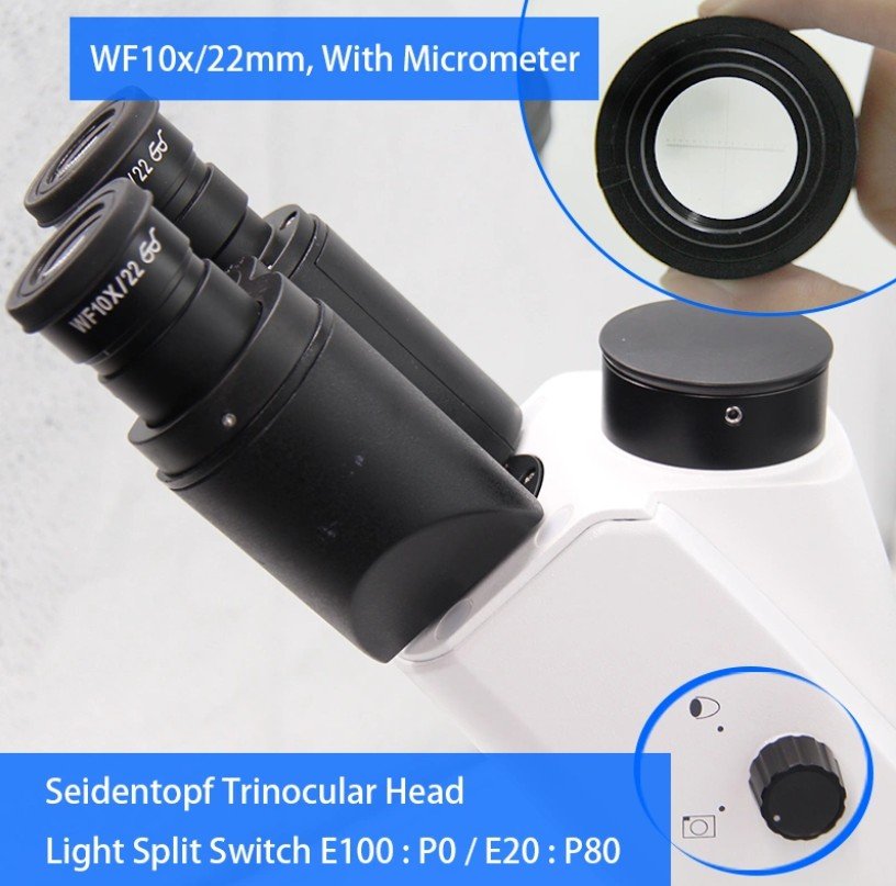 Product View
